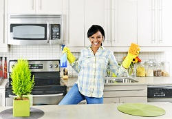 london domestic cleaning agency